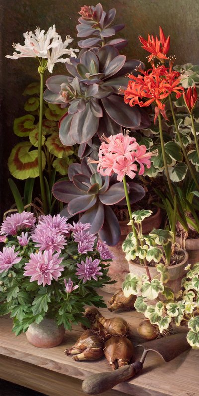 Flores de octubre de Raymond Booth