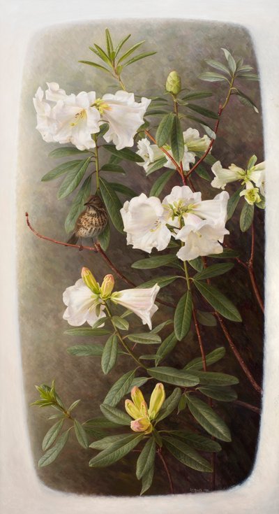 Rhododendron lindleyi de Raymond Booth