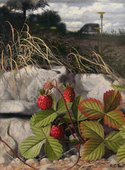 Fresas (óleo sobre tabla) de Raymond Booth
