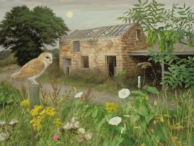 The Old Farm Buildings at Eccup, 2000 (óleo sobre tabla) de Raymond Booth
