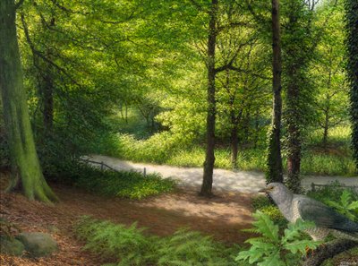 Bosque con paloma bravía de Raymond Booth