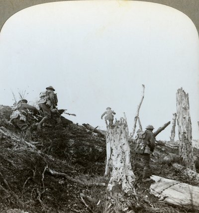 Asalto en el Bosque de Trones, Somme, Francia, Primera Guerra Mundial de Realistic Travels Publishers