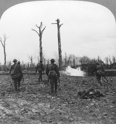 Tropas británicas ocupando el Bosque de Houthulst, Flandes, Bélgica, Primera Guerra Mundial, c1914-c1918 de Realistic Travels Publishers