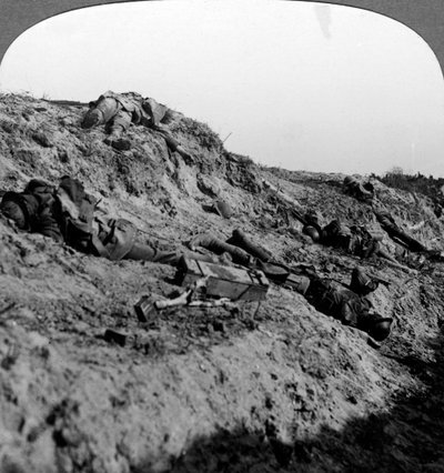 Soldados muertos, Vimy Ridge, Francia, Primera Guerra Mundial, 1914-1918 de Realistic Travels Publishers
