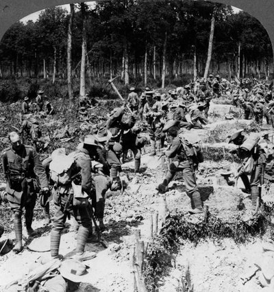 Soldados cavando trincheras, Primera Guerra Mundial, 1914-1918 de Realistic Travels Publishers