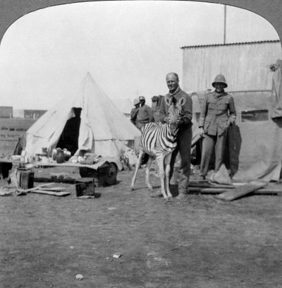 Artilleros sudafricanos con su cebra mascota, África Oriental, Primera Guerra Mundial, 1914-1918 de Realistic Travels Publishers