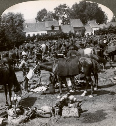 Tropas alimentando a sus caballos y descansando en la marcha, Primera Guerra Mundial, 1914-1918 de Realistic Travels Publishers