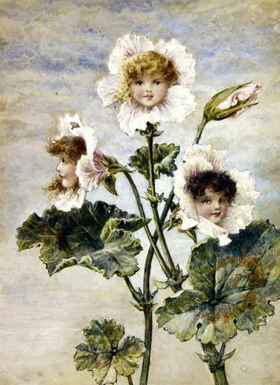 Geranio y Guisante Dulce - Niños Flor - un par de Rebecca Coleman