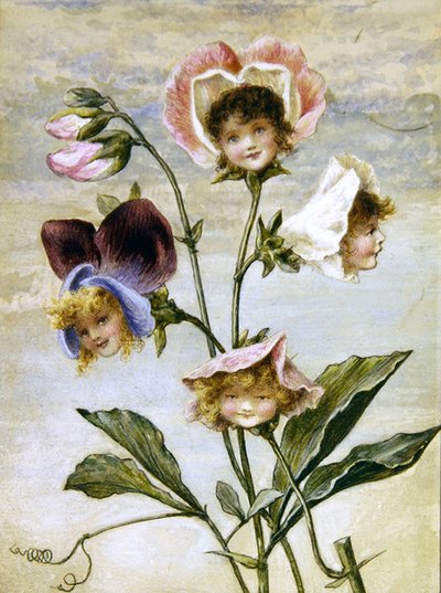 Geranio y Guisante de Olor- Niños Flor- un par de Rebecca Coleman