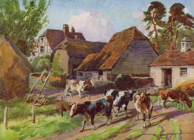 Ilustración para Mi granja (litografía en color) de Reginald Mills