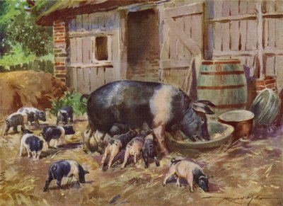 Ilustración para Mi granja (litografía en color) de Reginald Mills