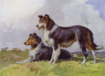 Ilustración para Mi granja (litografía en color) de Reginald Mills