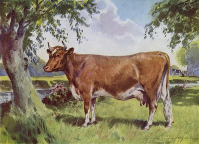 Ilustración para Mi granja (litografía en color) de Reginald Mills