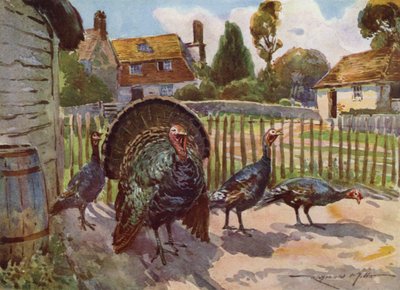 Ilustración para Mi granja (litografía en color) de Reginald Mills