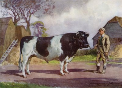 Ilustración para Mi granja (litografía en color) de Reginald Mills