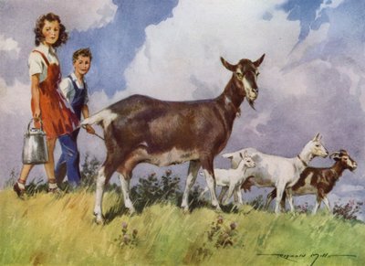 Ilustración para Mi granja (litografía en color) de Reginald Mills