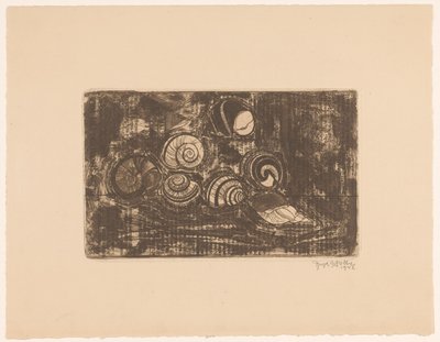 Siete conchas de Reijer Stolk (signed by artist)