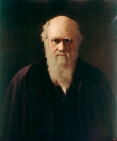 Charles Darwin (óleo sobre tabla) de Reilly Reilly