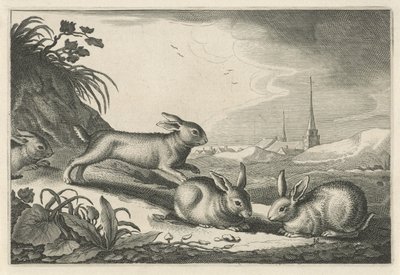 Paisaje de dunas con conejos Diversa Animalia Quadrupedia (título de la serie) de Reinier van Persijn