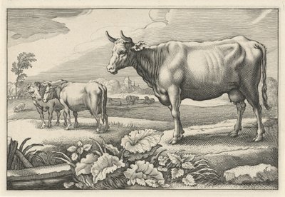 pasto con vacas Diversa Animalia Quadrupedia (título de la serie) de Reinier van Persijn