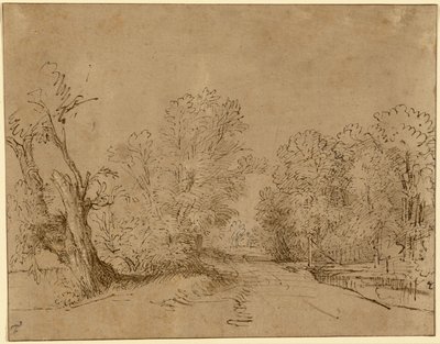Un camino arbolado de Rembrandt Harmensz. van Rijn