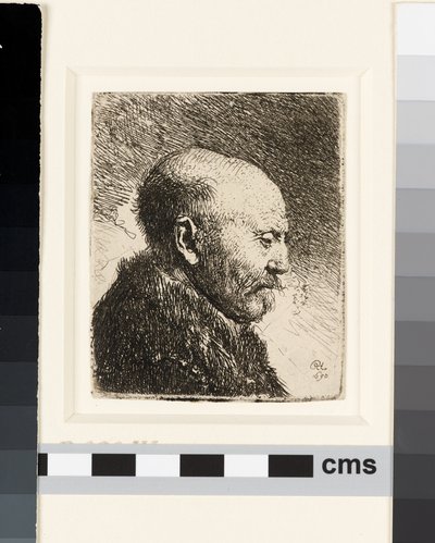 Hombre calvo de perfil derecho: ¿el padre de Rembrandt? de Rembrandt van Rijn