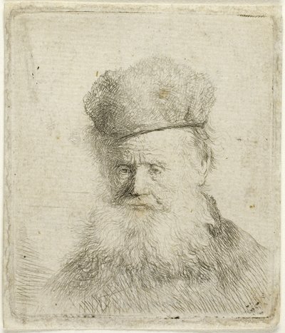 Busto de anciano con gorro de piel y barba poblada, c.1631 (aguafuerte sobre papel) de Rembrandt Harmensz. van Rijn