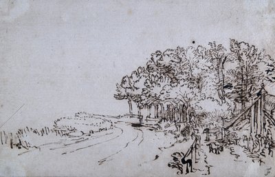Bosque en la cabecera del Amsteldijk cerca de Trompenburg, c.1649 de Rembrandt Harmensz. van Rijn
