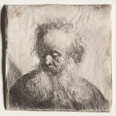 Anciano con barba poblada: Busto de Rembrandt Harmensz. van Rijn