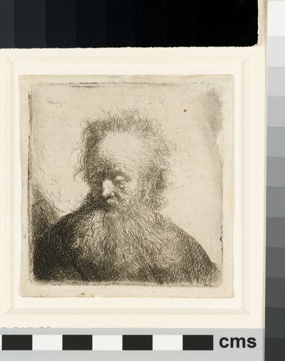 Viejo con barba larga: busto de Rembrandt van Rijn