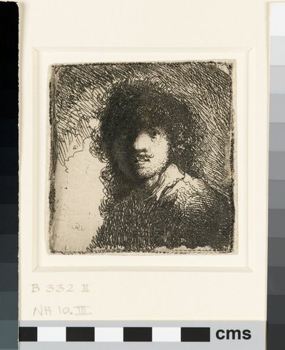 Autorretrato sin gorra: busto, c.1629 de Rembrandt van Rijn