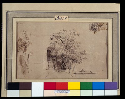 Estudio de un árbol frente a una casa de Rembrandt Harmensz. van Rijn