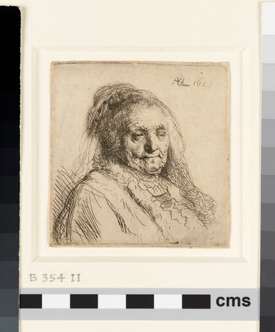 La madre del artista, cabeza y busto de Rembrandt van Rijn