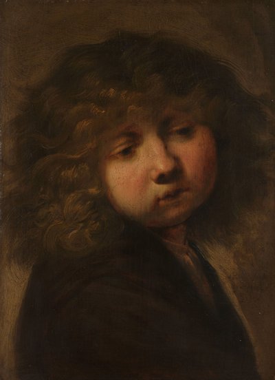 Cabeza de niño de Rembrandt van Rijn (circle of)