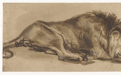 Estudio de un león dormido de Rembrandt van Rijn (copy after)