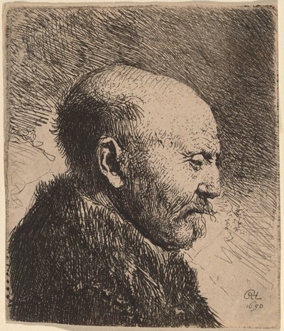 Un Hombre Calvo de Perfil (¿El Padre del Artista?) de Rembrandt van Rijn