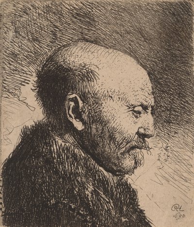 Un hombre calvo de perfil, el padre del artista, 1630 de Rembrandt van Rijn