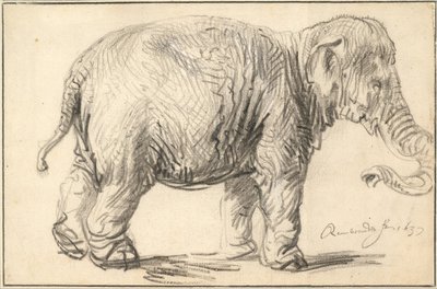 Un elefante, 1637 de Rembrandt van Rijn