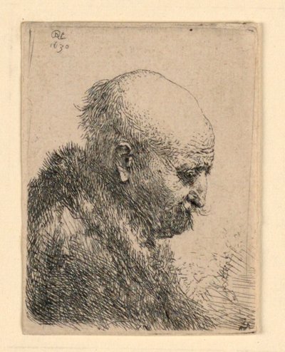 Hombre calvo en perfil derecho: pequeño busto; ¿El padre del artista? de Rembrandt van Rijn