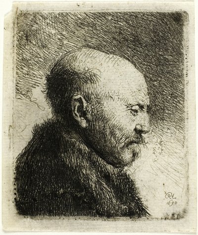 Hombre calvo de perfil a la derecha: El padre del artista () de Rembrandt van Rijn