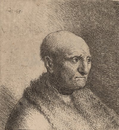 Hombre calvo con capa de piel, c. 1630 de Rembrandt van Rijn