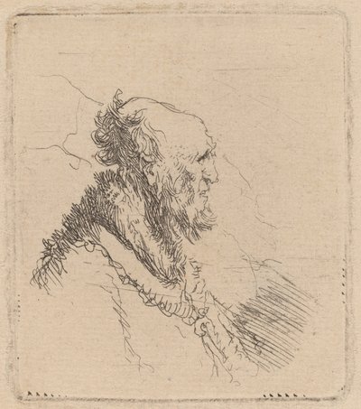 Viejo calvo con barba corta de perfil de Rembrandt van Rijn