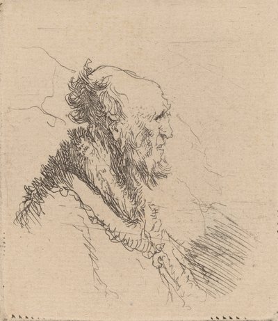 Hombre calvo y viejo con barba corta de perfil de Rembrandt van Rijn