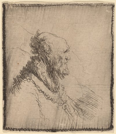Viejo calvo con barba corta de perfil, c. 1635 de Rembrandt van Rijn