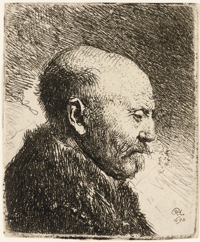 Hombre calvo de perfil derecho: el padre de Rembrandt 1630 de Rembrandt van Rijn