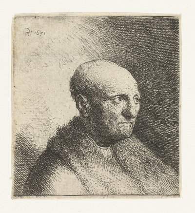 Hombre calvo en una capa de piel: busto de Rembrandt van Rijn