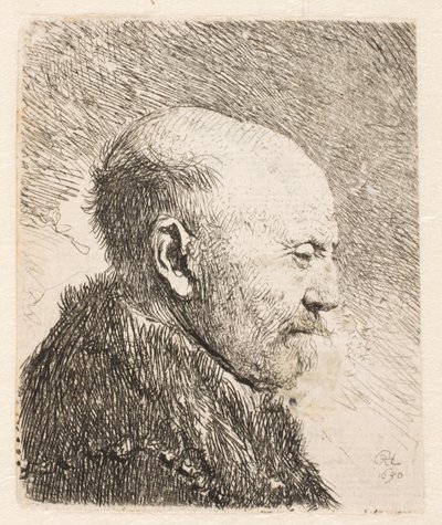 Hombre calvo de perfil (¿padre de Rembrandt?) de Rembrandt van Rijn