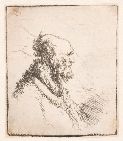Hombre calvo con barba corta, perfil derecho de Rembrandt van Rijn