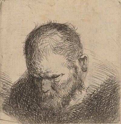 Hombre barbudo mirando hacia abajo, posiblemente 1631 de Rembrandt van Rijn