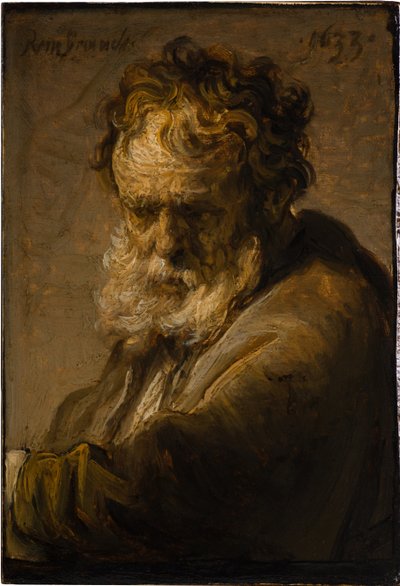 Busto de un anciano con barba, 1633 de Rembrandt van Rijn